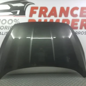 KAPOTTI FORD C-MAX II