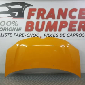 KAPOTTI RENAULT TWINGO 3 UUSI KELTAINEN MANGO