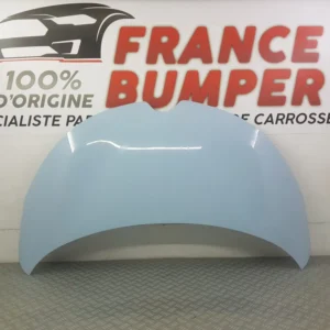 KAPOTTI RENAULT ZOE I