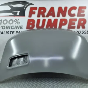 Renault Alpine A290 (09/2024) konepelti – alkuperäinen uusi maalattavaksi