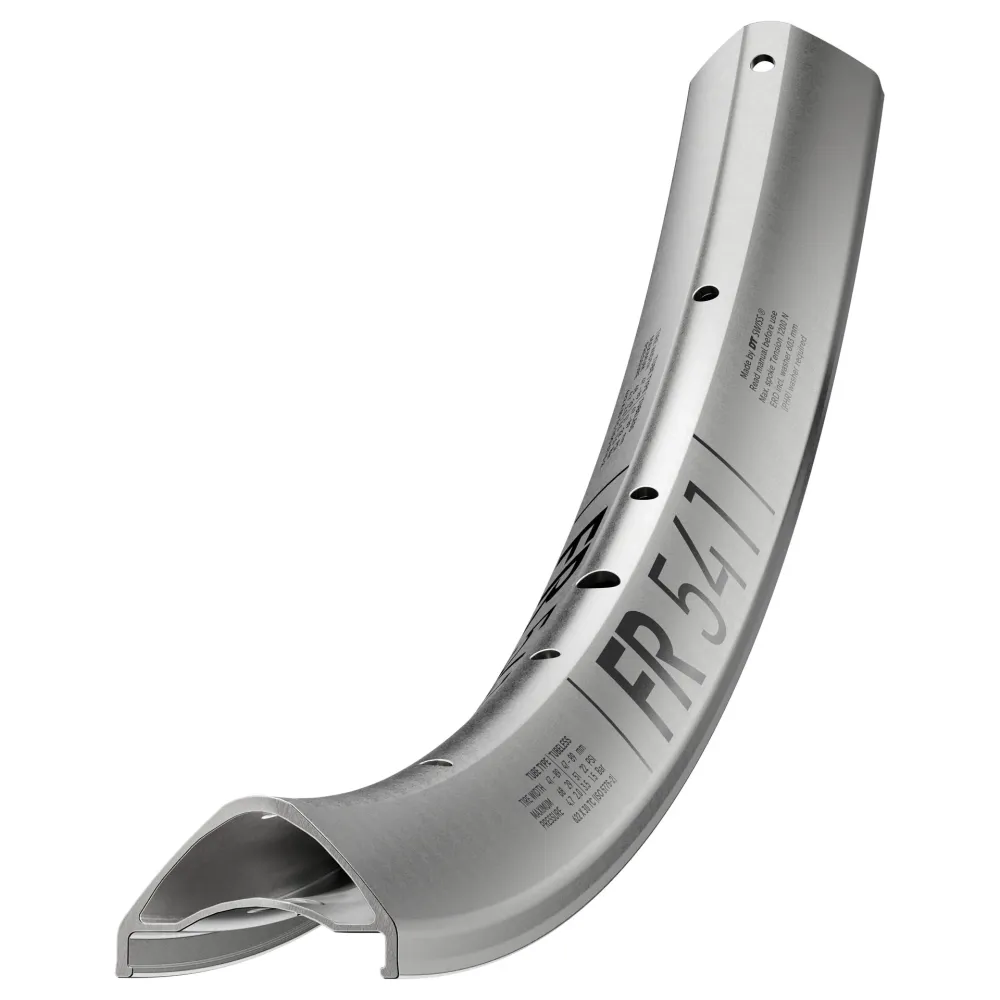 DT SWISS FR 541 29'' 30 mm hopeinen vanne, hopea
