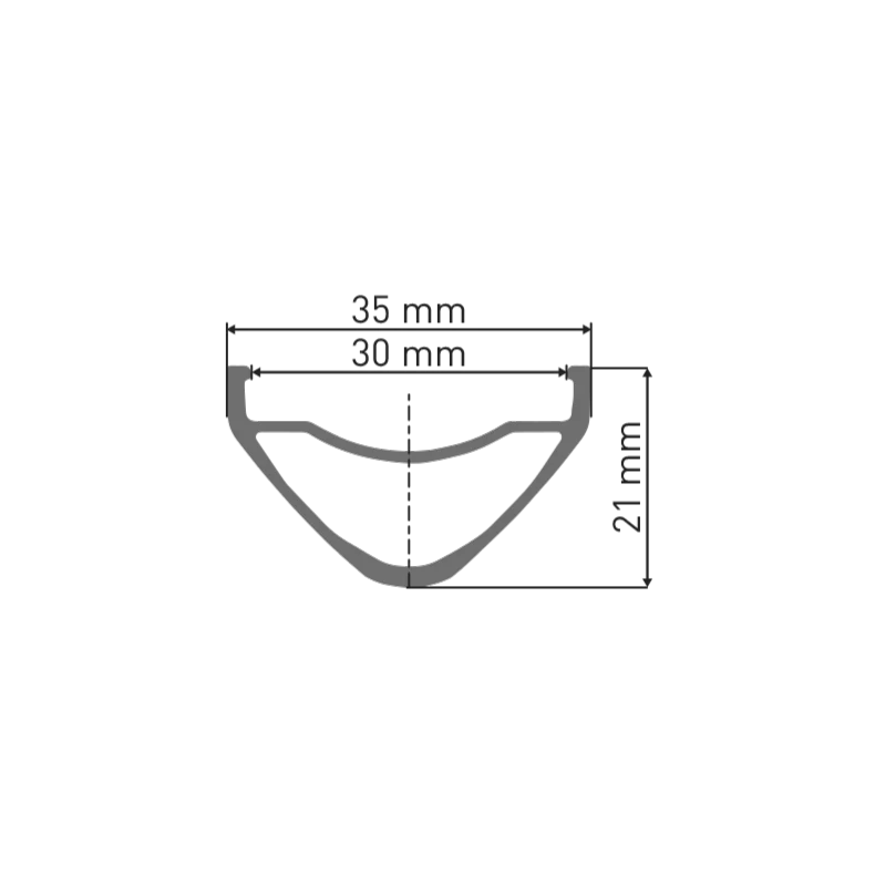 DT SWISS FR 541 29'' 30 mm hopeinen vanne, hopea