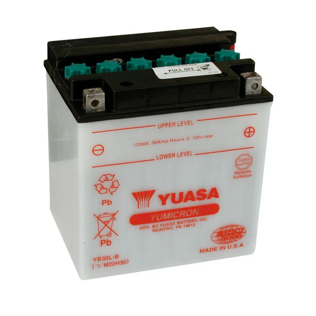 Yuasa Yumicron 12V lyijyakku 30Ah 300CCA
