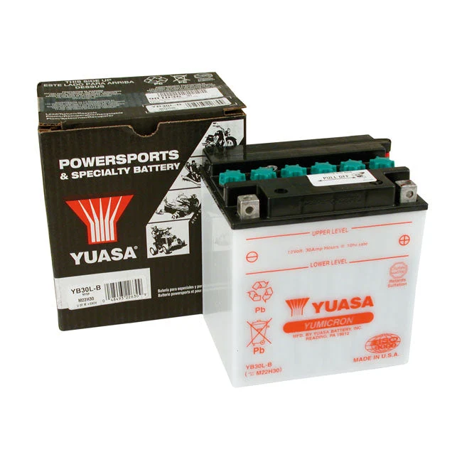 Yuasa Yumicron 12V lyijyakku 30Ah 300CCA