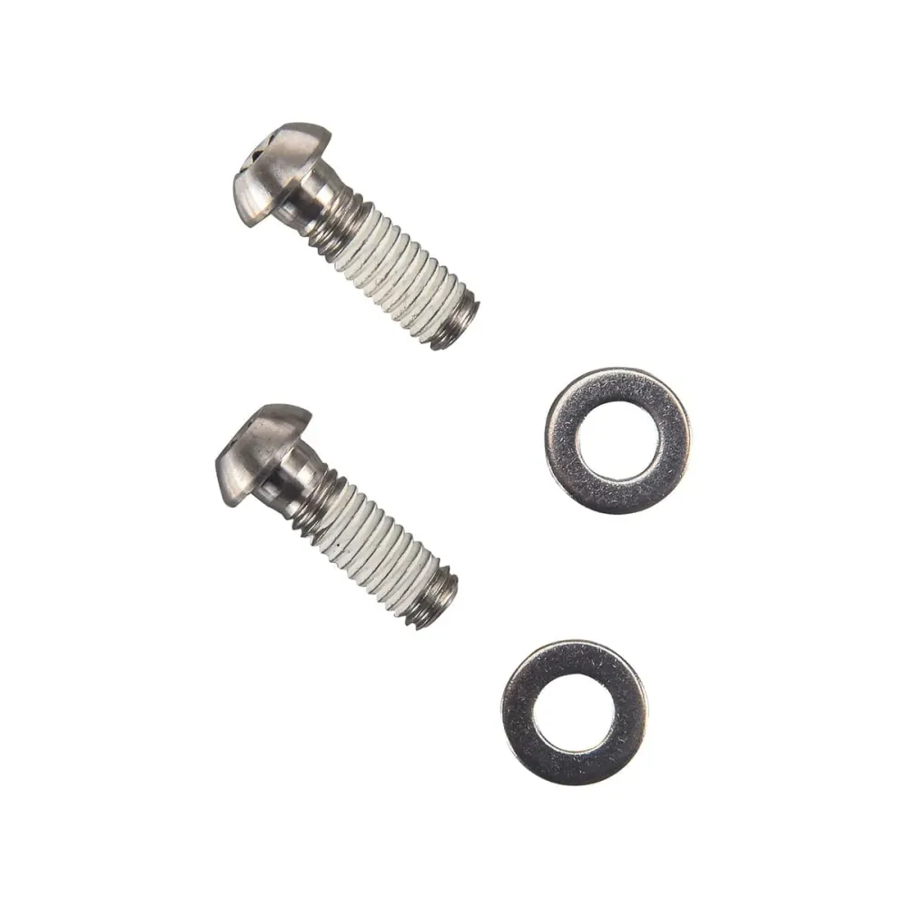 SRAM Direct Mount Standard Titanium jarrusatulan kiinnitysruuvit (x2)