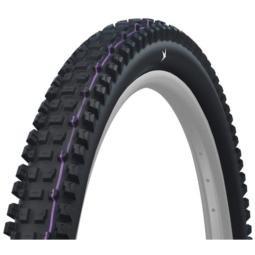 Schwalbe Albert Trail Pro Evolution 29" Maastorengas