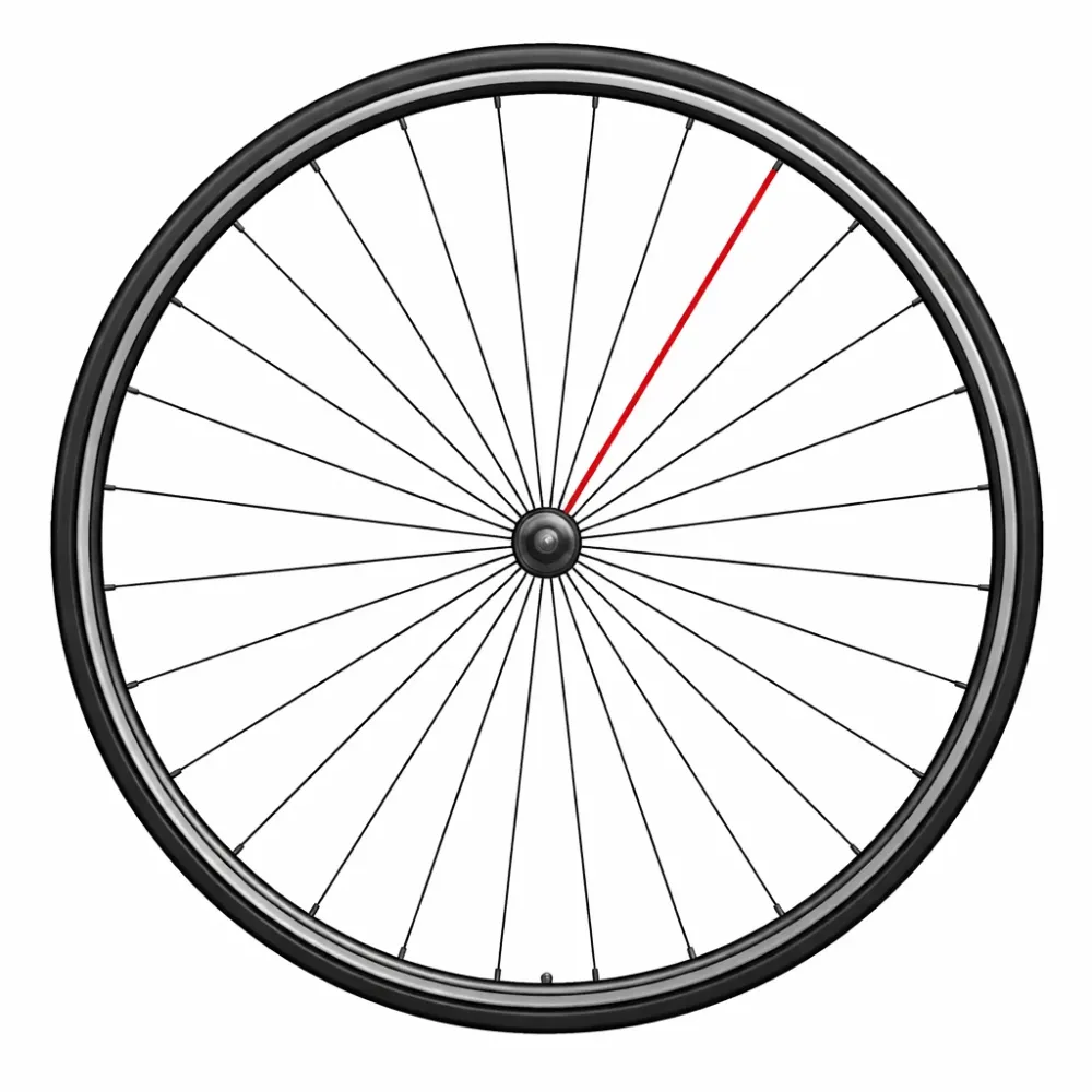 CAMPAGNOLO SHAMAL C17 Etupyörä (x1)