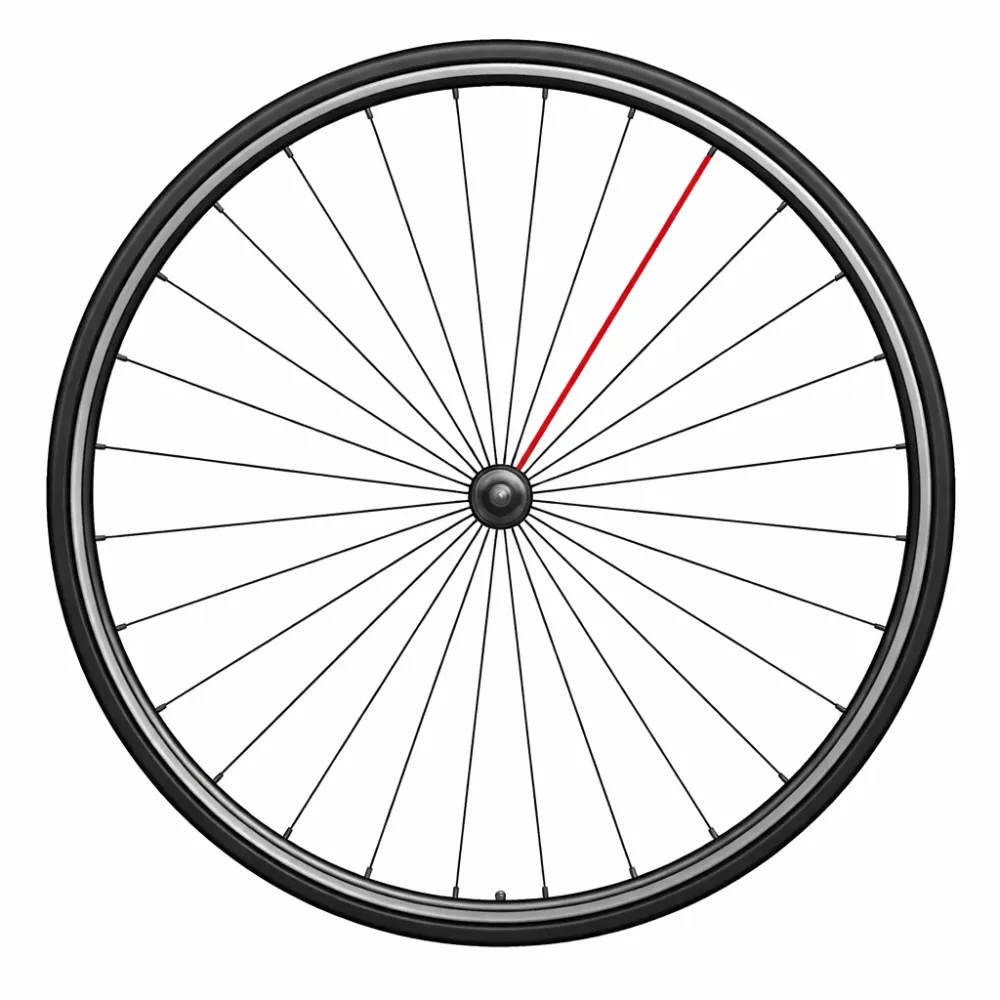 CAMPAGNOLO Spoke + SHAMAL ULTRA DISC Nippeli Oikea Takana (x1)